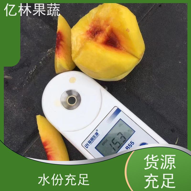 亿林苗木 七月酥梨树苗 基地培育 嫁接技术指导 抗寒能力强