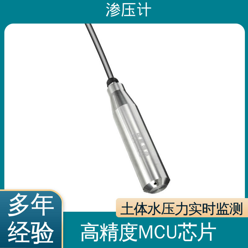 长期在线监测 结构物内部水压 硅压阻式渗压计 尾矿库露天矿