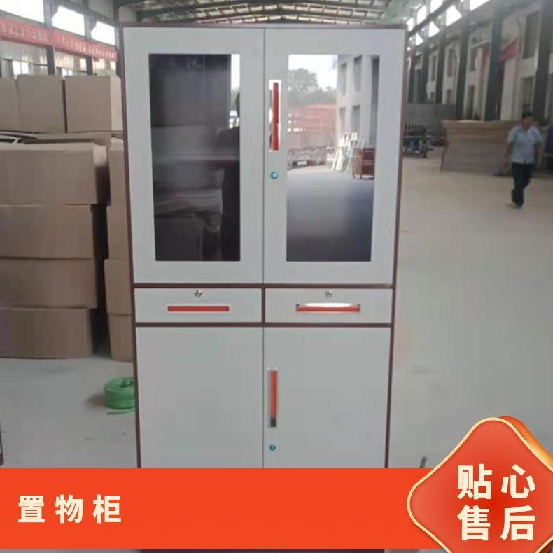 带锁员工储物柜子 厂家批发 电子密码锁文件柜 内贸 简约时尚 玻璃