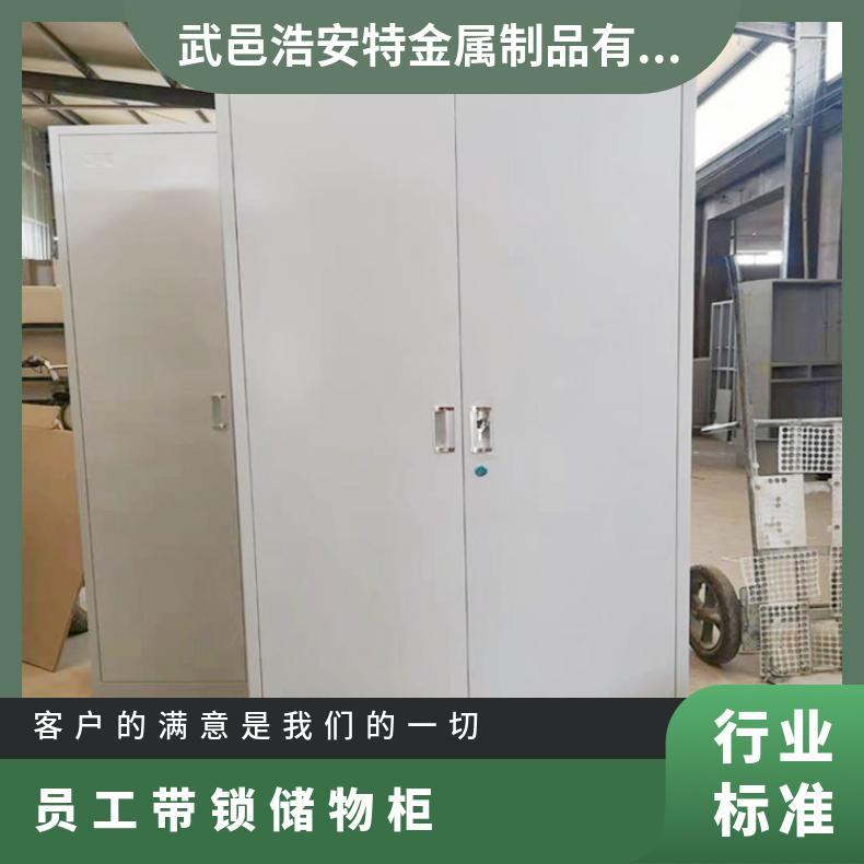 两门更衣柜按需定制 厂家 办公室 柜门材质厚度2mm 阳台抽屉储物柜
