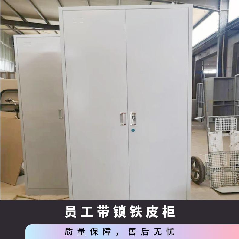 支持定制 办公楼学校单位更衣柜两门 多色可选 卡箱立式档案柜