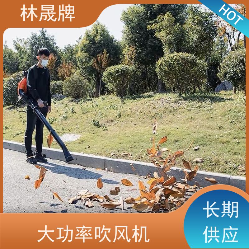 林晟牌 马路树叶吹风机 灭火器 做工精细 品质可信 库存充足