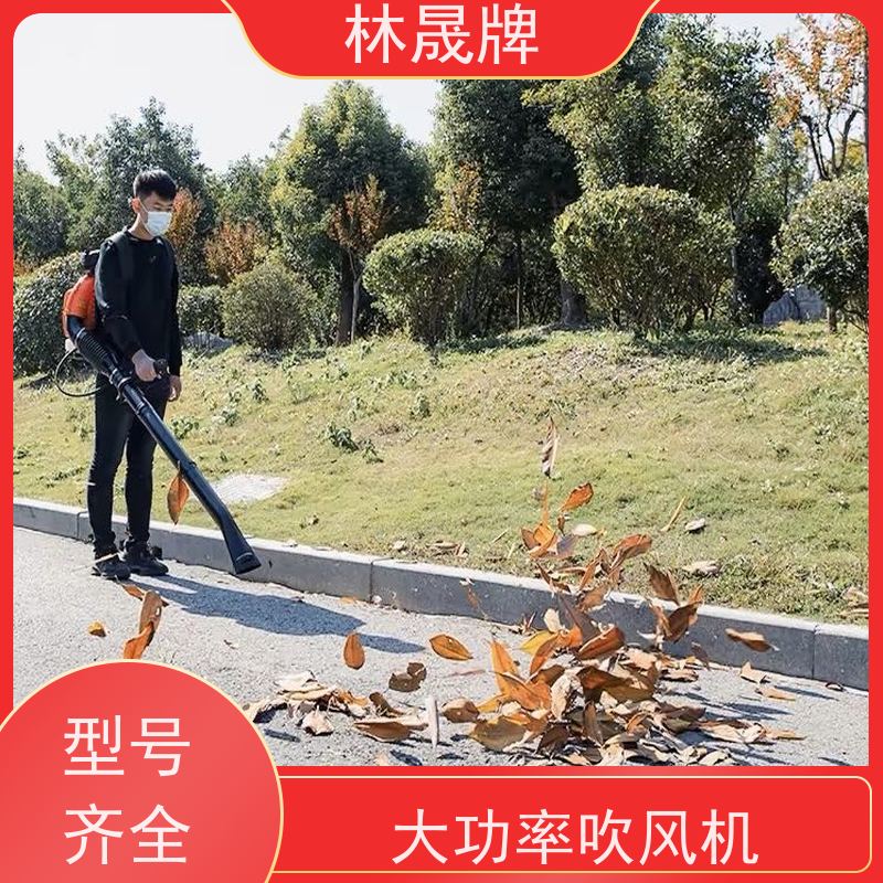 林晟牌 农业森林吹风机 吹雪机 应用范围广 长期供应