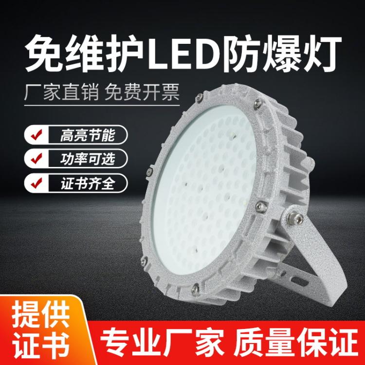 LED防爆灯工矿灯100W隔爆型仓库厂房照明灯 加油站吊灯灯罩