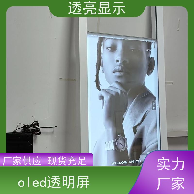 透亮显示 OLED立式透明屏 触摸屏查询机 厂家供应