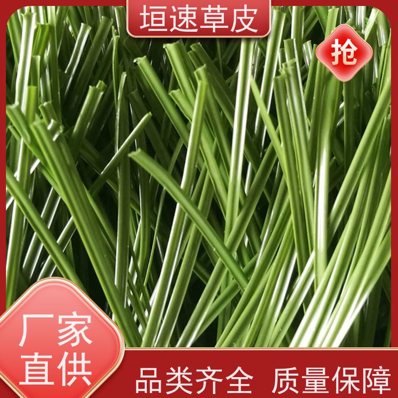 垣速 门球场场地工程承载力强 人工草皮球场地面处理 江苏建造棒球场