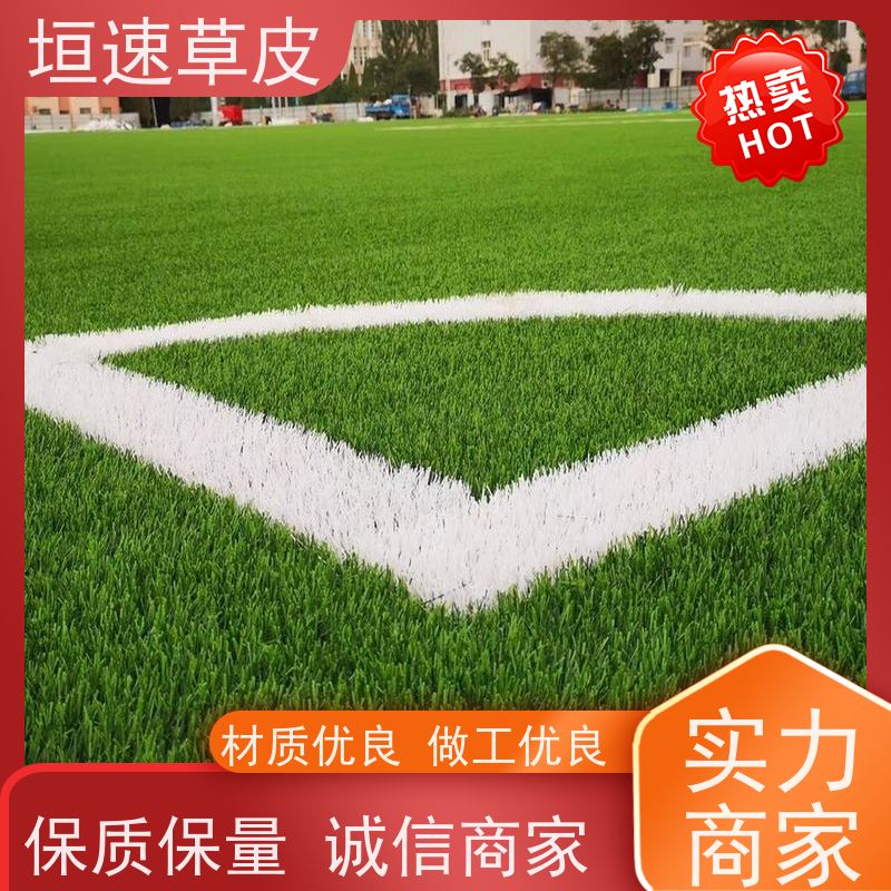 垣速 小区建足球场支持定制 人工假草皮价钱 浙江网球场草坪安装
