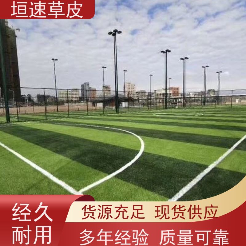 垣速 上海门球场制作 足球场场地改造舒适度好 篮球场草坪施工队