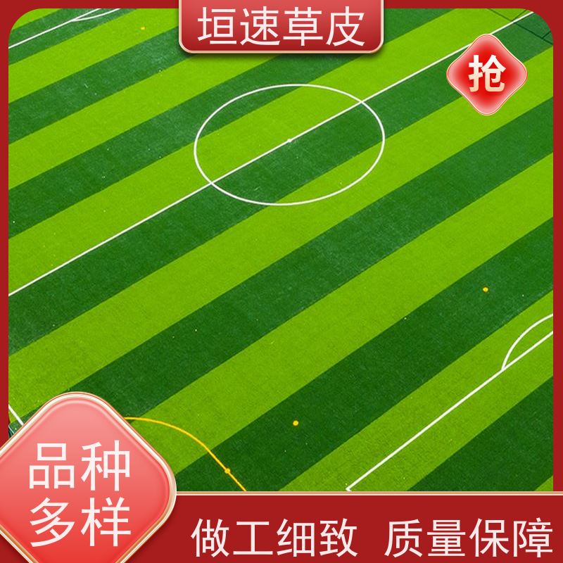 垣速 建造笼式足球场耐用强劲 塑料草坪厂家施工工艺 上海门球场制作