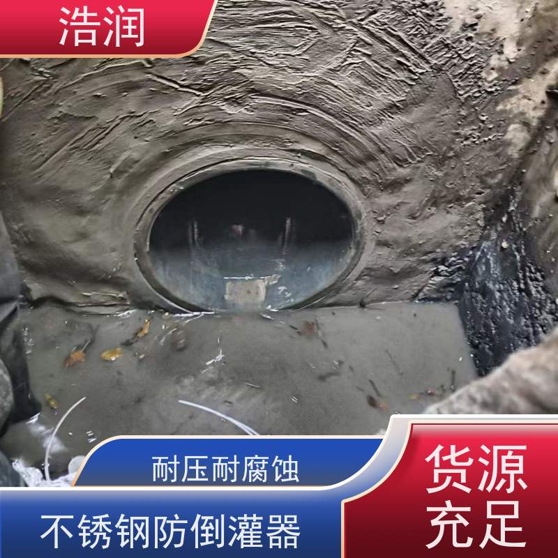 浩润 长期供应 不锈钢防倒灌器 无动力运行 可定制