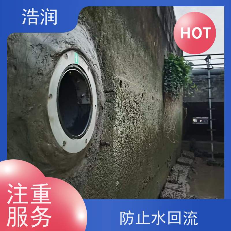 浩润 长期供应 无动力防倒灌器 优选材料 持久耐用 性价比高