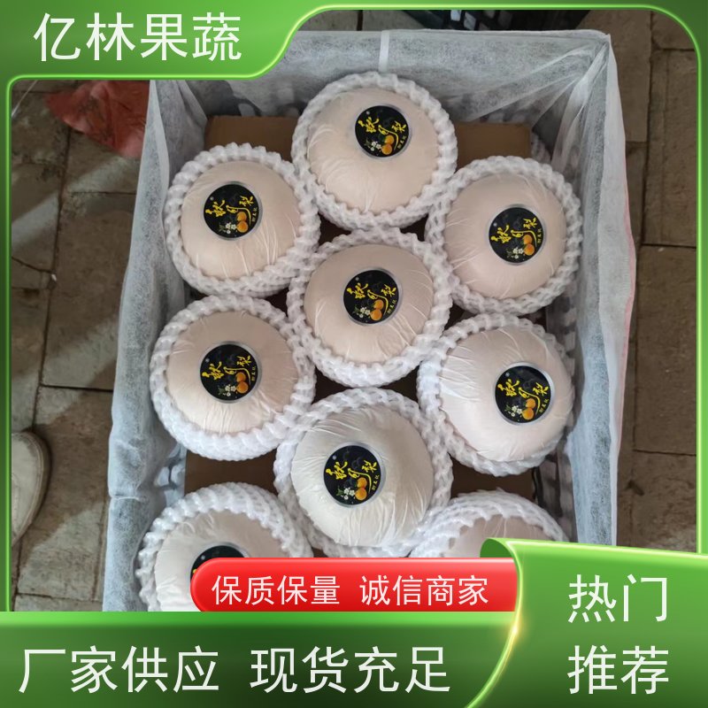 基地培育 冬桃苗 园林绿化果树苗 抗寒能力强 成活率高