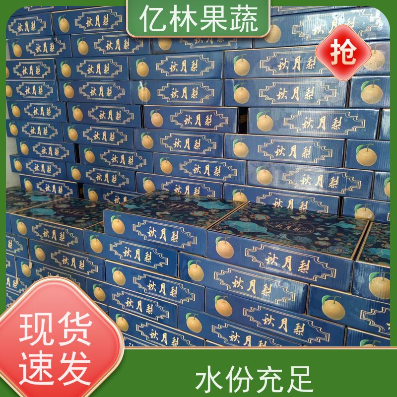 亿林苗木 黄桃苗 晚熟品种桃 口感脆甜 成活率高
