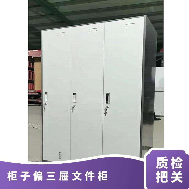 浩安特生产厂家 矮柜铁皮储物柜 多门 文件柜 可定制 职工更衣柜