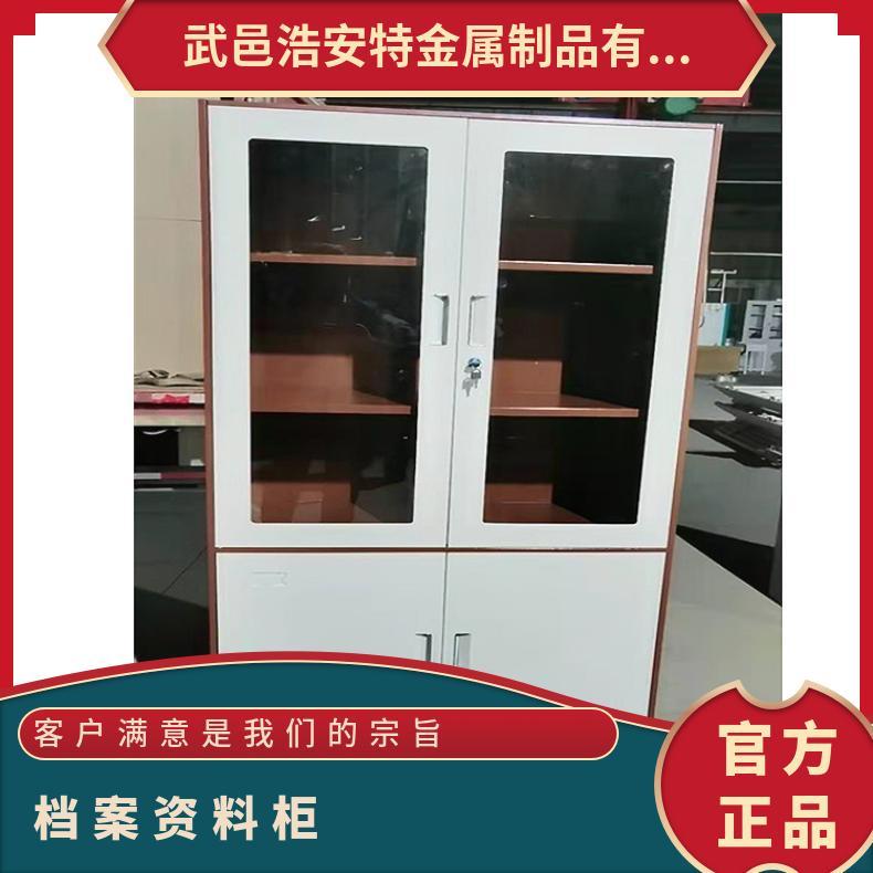 防腐静电喷涂 玻璃对开文件柜 保密 可根据需求定制 彩色学生书包