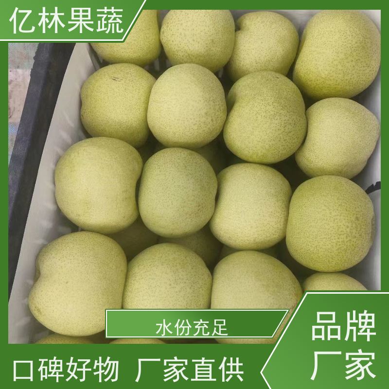 基地供应 晚熟桃树苗 现挖现发新鲜 粗两公分 成活率高