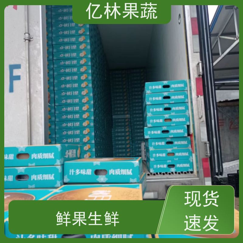 基地供应 果实饱满味道好 新农酥梨 现挖现发 八盘梨树苗