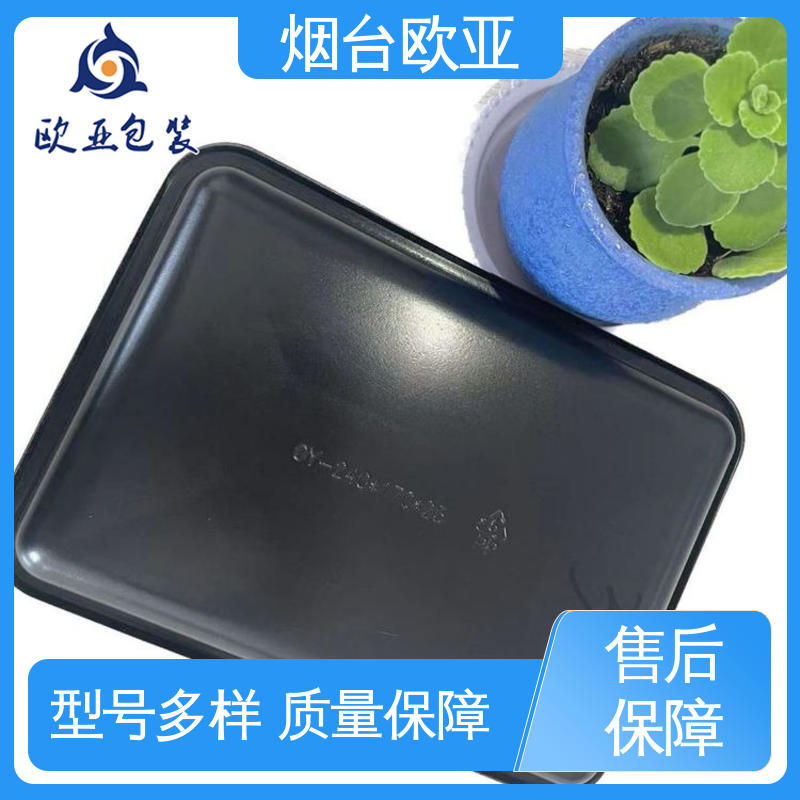 高效环保 质量保证 高温贴体膜 老牌品牌 欧亚包装