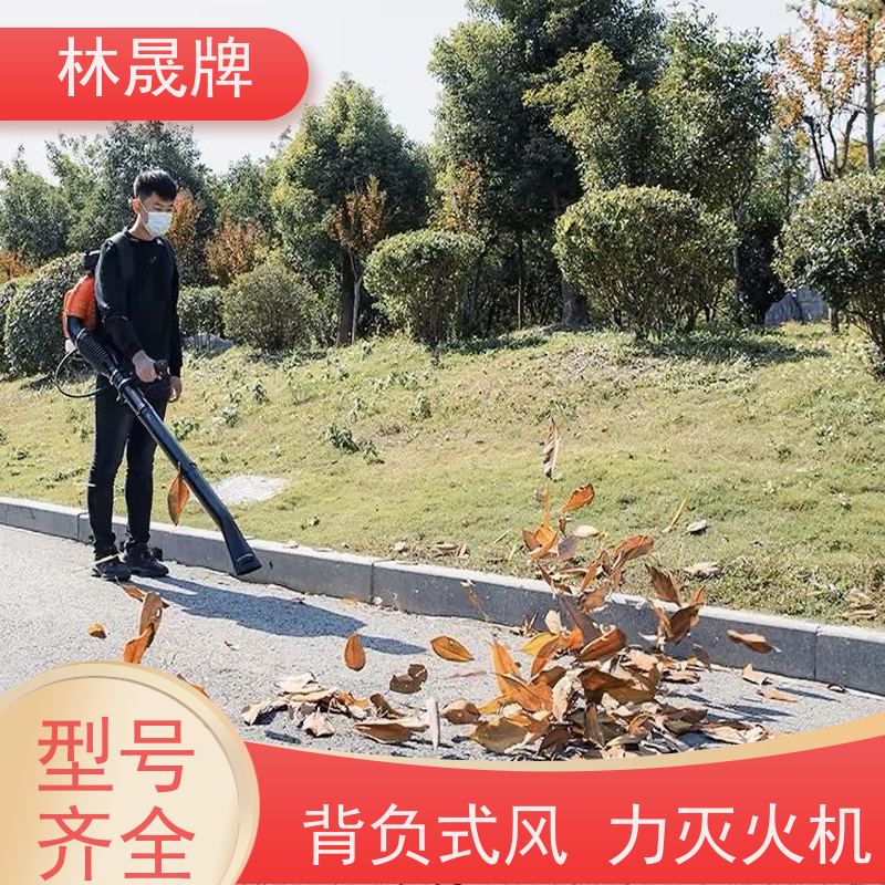 林晟牌 工地清理用吹灰机 大功率吹风机 6MF-23-51 质量可信