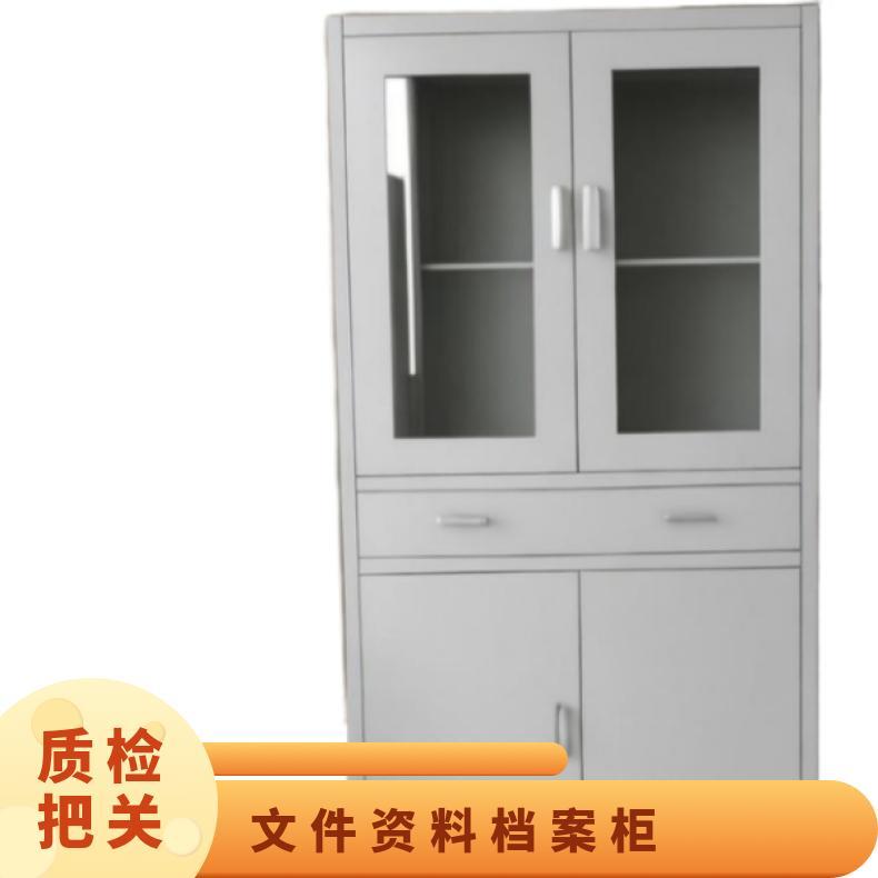 铁皮凭证柜 多层搁板 办公 按需 内外贸 钢制 对开门玻璃抽屉资料柜