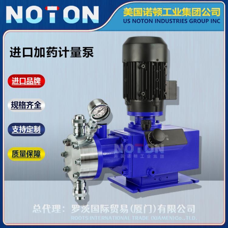 NOTON 进口柱塞式加药计量泵 高压不锈钢 双头柱塞定量泵 美国诺顿