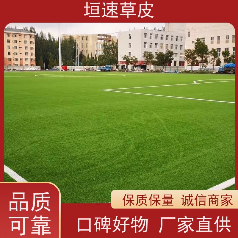 垣速 七人制足球场建造支持定制 人工假草皮价钱 南京学校足球场维修