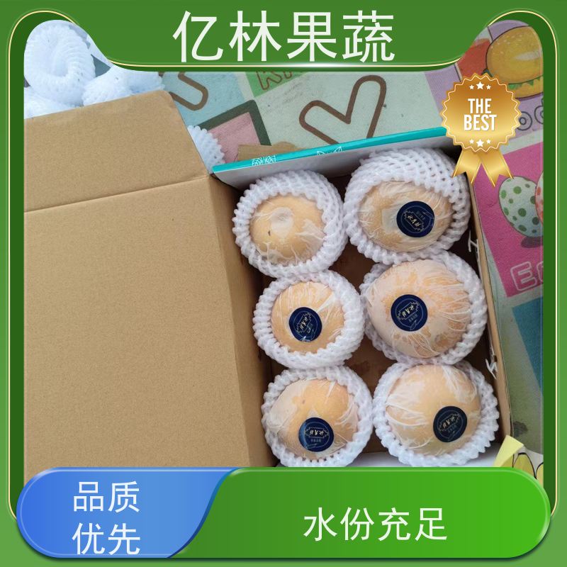 基地供应 红香脆梨树苗 根系饱满成活率高 特产果树梨幼苗