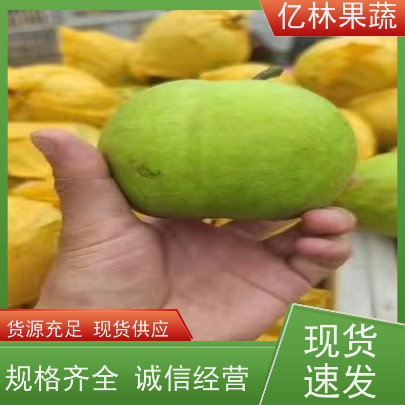 亿林苗木 水晶梨树苗 根系饱满成活率高 嫁接技术指导 抗寒能力强
