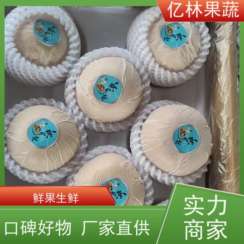 基地供应 园林嫁接桃苗 特产果树桃幼苗 根系饱满成活率高