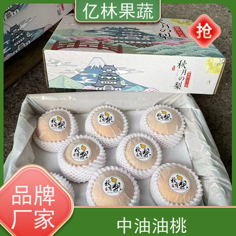 亿林苗木 黄桃苗 现挖现发新鲜 粗两公分 成活率高