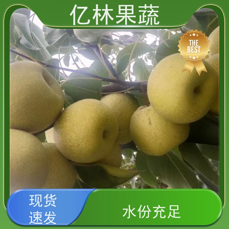 亿林苗木 园林嫁接桃苗 三公分现挖现发 品种齐全 成活率高