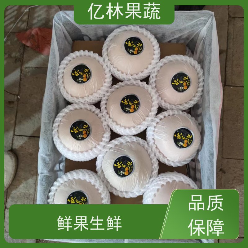 亿林苗木 冬桃苗 桃树果苗批发 自家园林 果实饱满味道好