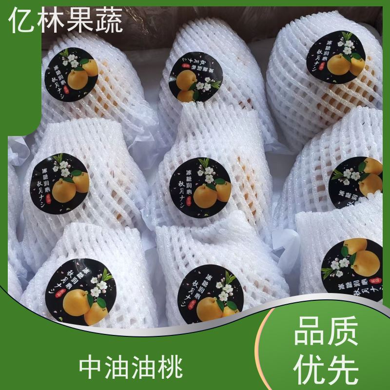 亿林苗木 红早酥梨树苗 根系饱满成活率高 特产果树梨幼苗