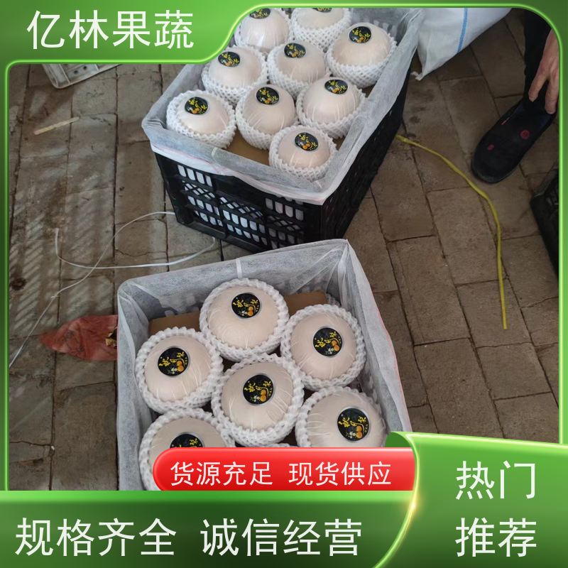 基地培育 园林嫁接桃苗 晚熟品种桃 口感脆甜 根系饱满成活率高