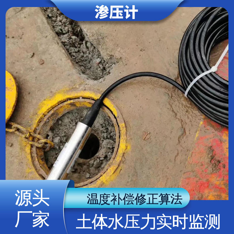 自动化实时监测 基岩渗漏及稳定性 堤防水工建筑物 硅压阻式渗压计