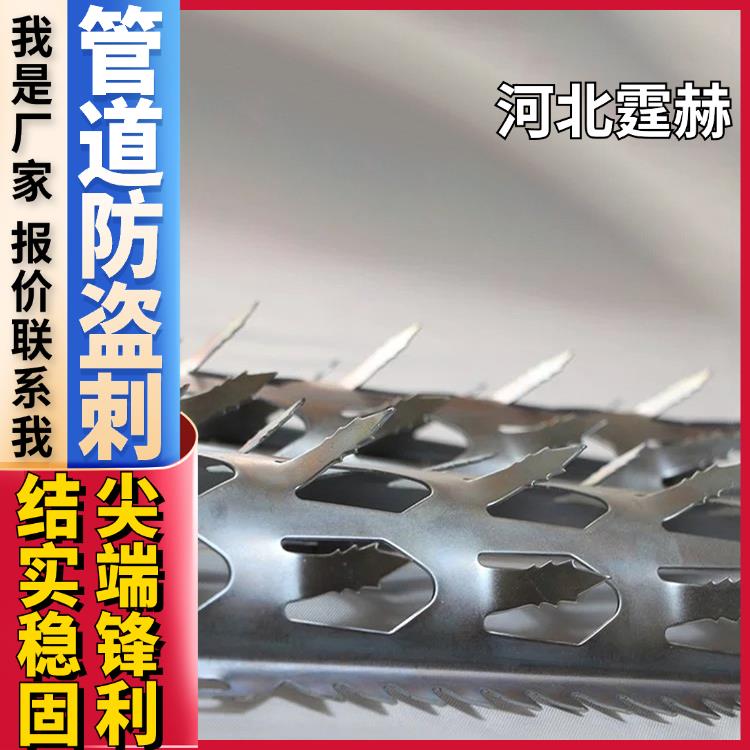 霆赫 煤气管道防爬刺 防止入室盗窃倒刺 小区别墅保护刺钉 坚固实用