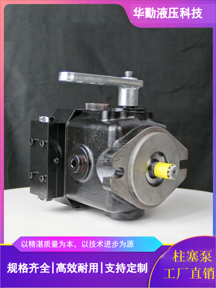 轴向变量柱塞泵 低噪音，高效率，易安装 厂家直发 华勤液压