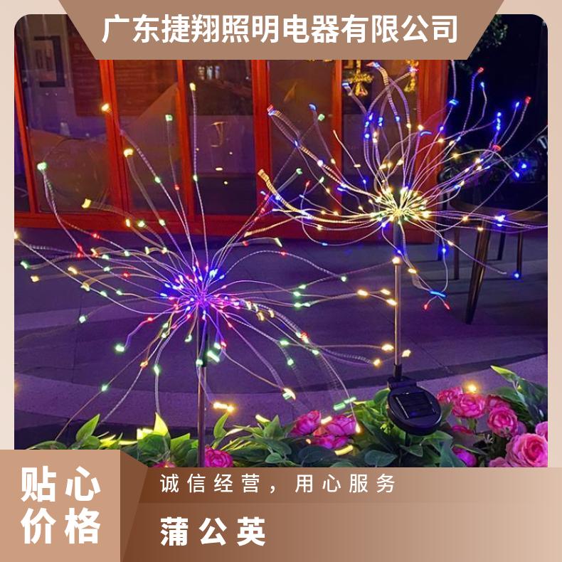 跨境LED太阳能烟花灯防水蒲公英地插灯户外庭院花园装饰草坪灯