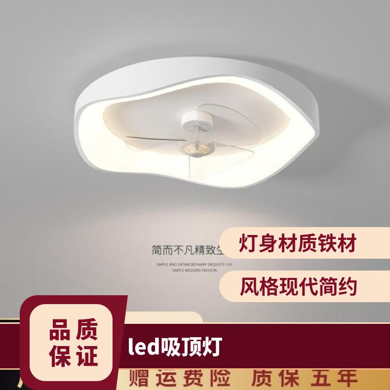 2022年新款创意卧室风扇灯一体高端简约现代家用智能主卧房间灯具