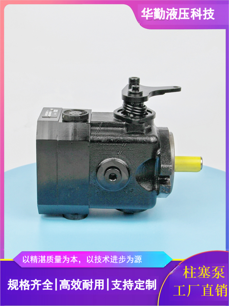 海德扫路机柱塞泵 欧美品质 低噪音，高效率，易安装 华勤液压