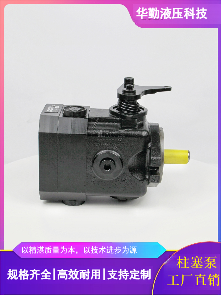 小型滑移车柱塞泵 欧美品质 质量持久耐用，产品精工制造 TOMIW液压