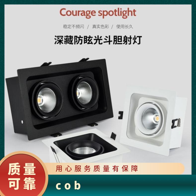 嵌入式射灯双头斗胆灯方形栅格COB客厅展厅商品店饭店led筒灯