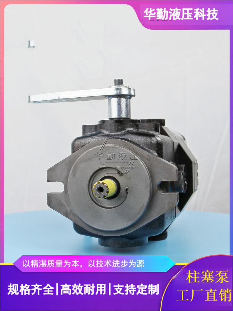 小型轴向柱塞泵 实力商家，一站式服务 原装正品 TOMIW液压