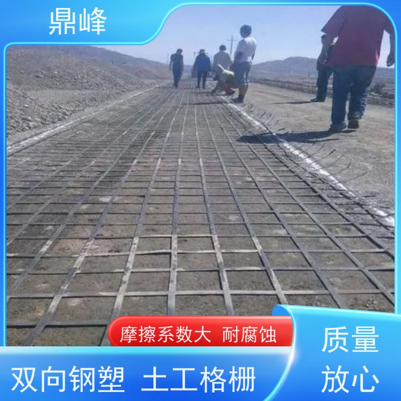 鼎峰 矿用土工格栅 抗腐蚀 能够适应各种不规则的表面