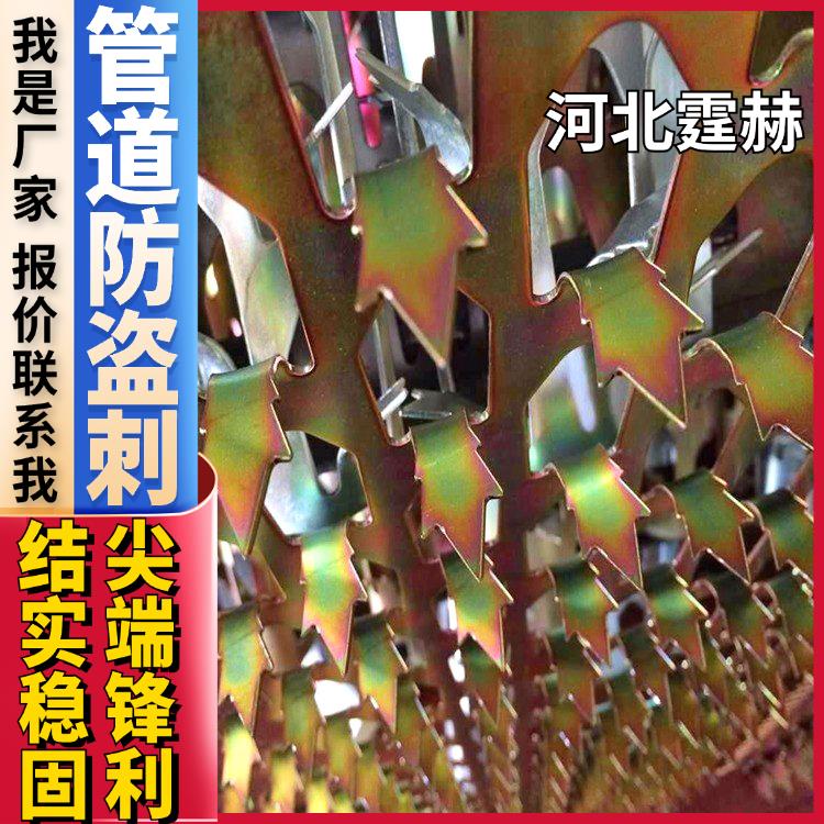 霆赫 管道带刺防爬刺 围墙镀锌滚笼 小区阻爬阳台防护刺钉 尖端锋利