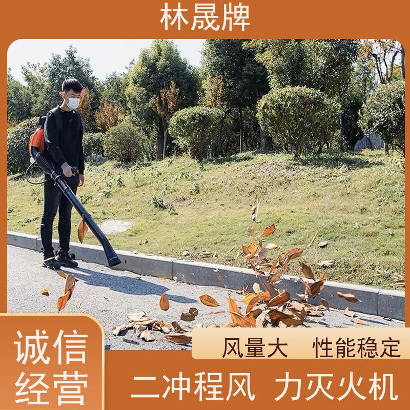 林晟牌 农业森林吹风机 吹雪机 风量大 性能稳定 支持定制