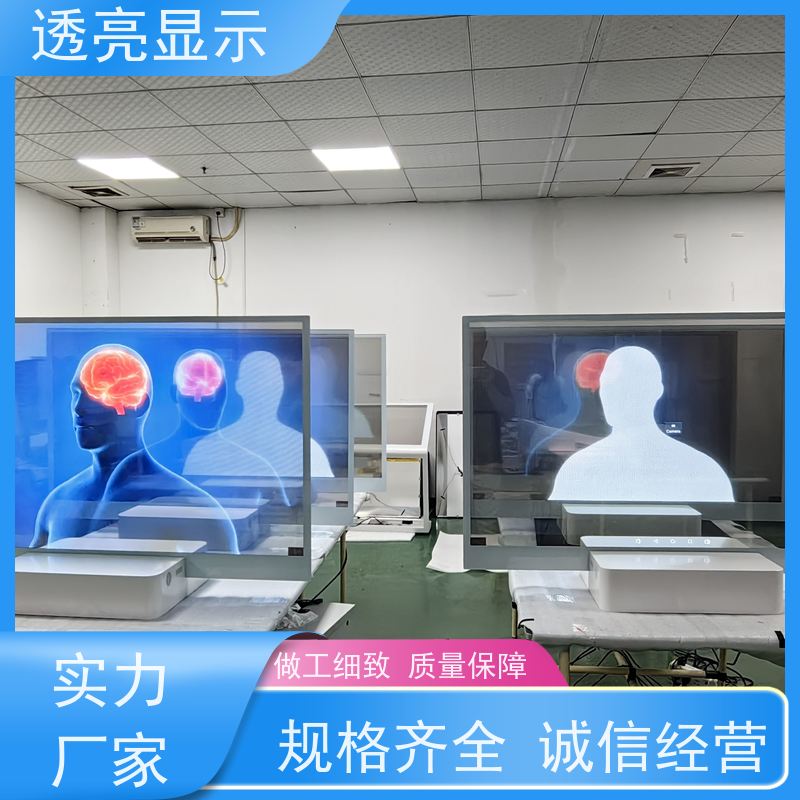 透亮显示 小尺寸透明oled屏 高清全彩 设计安装一站式服务