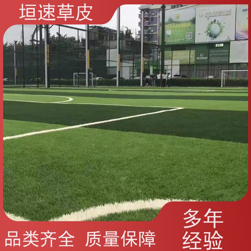垣速 标准门球场建设回弹率好 景观人造草坪两年质保 上海足球场翻建