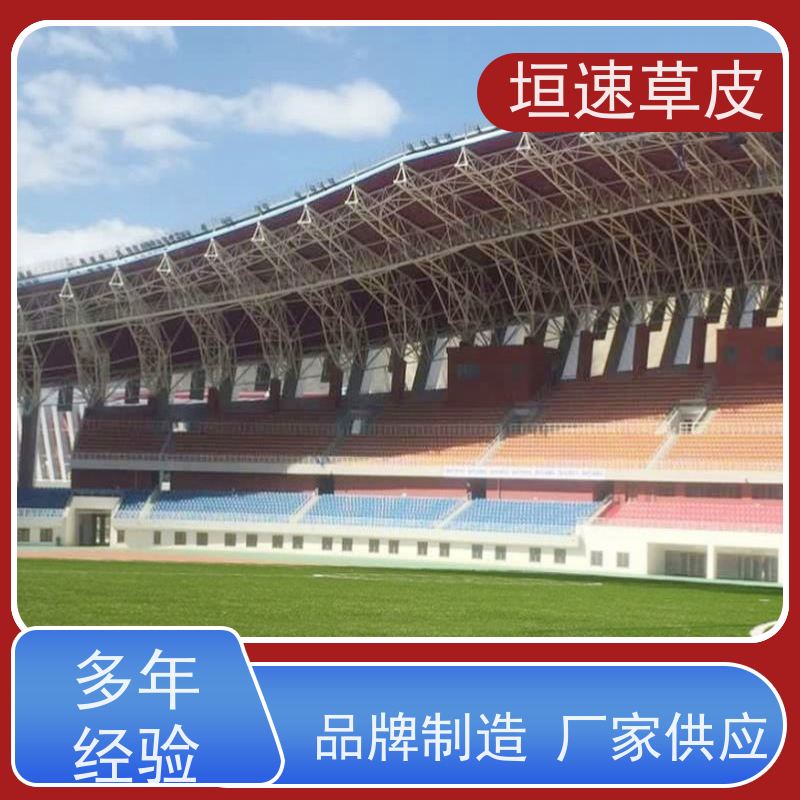 垣速 苏州门球场修建 网球场草坪安装坚固耐用 景观塑料草坪造价成本