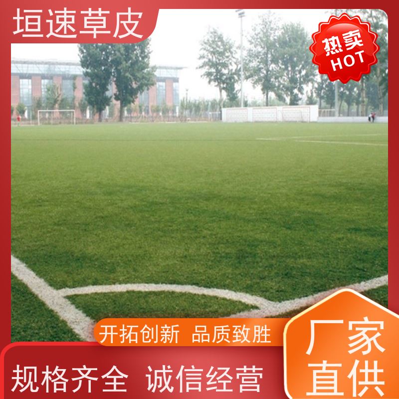 垣速 修建足球场地弹性防滑 屋面绿化草坪基础施工 宁波门球场建设